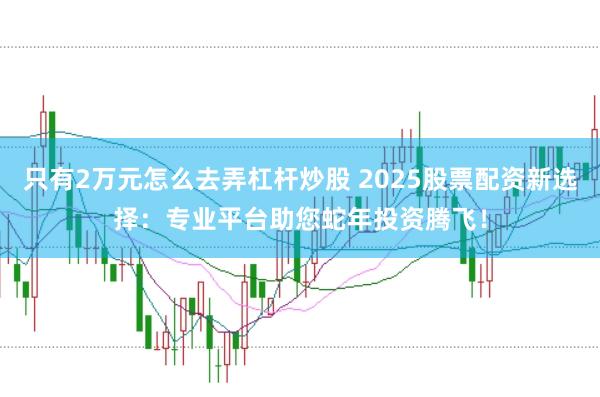 只有2万元怎么去弄杠杆炒股 2025股票配资新选择：专业平台助您蛇年投资腾飞！
