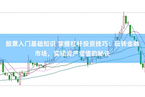 股票入门基础知识 掌握杠杆投资技巧：玩转金融市场，实现资产增值的秘诀
