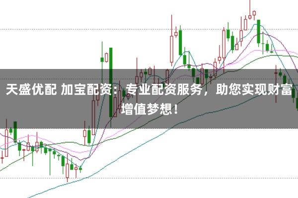 天盛优配 加宝配资：专业配资服务，助您实现财富增值梦想！
