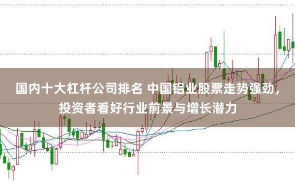 国内十大杠杆公司排名 中国铝业股票走势强劲，投资者看好行业前景与增长潜力