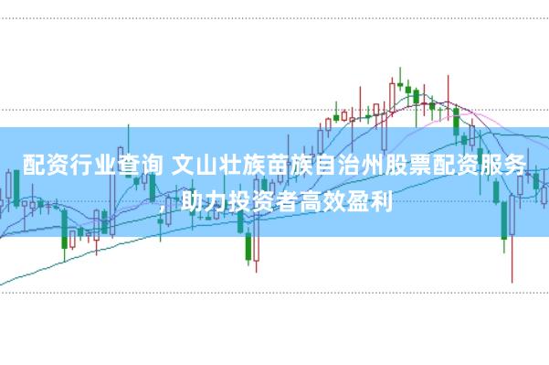 配资行业查询 文山壮族苗族自治州股票配资服务，助力投资者高效盈利