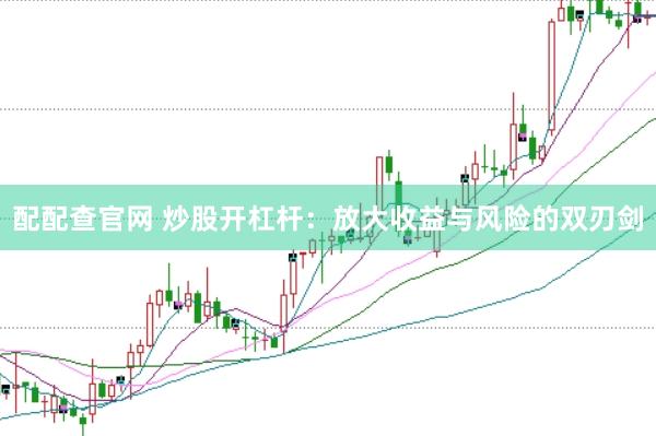 配配查官网 炒股开杠杆：放大收益与风险的双刃剑
