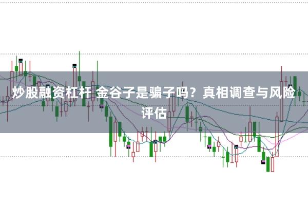 炒股融资杠杆 金谷子是骗子吗？真相调查与风险评估