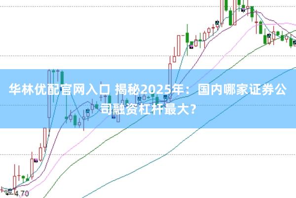 华林优配官网入口 揭秘2025年：国内哪家证券公司融资杠杆最大？
