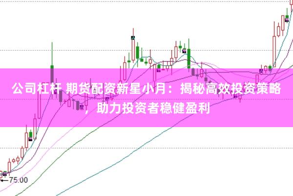 公司杠杆 期货配资新星小月：揭秘高效投资策略，助力投资者稳健盈利