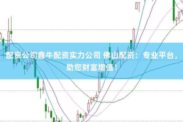 配资公司鑫牛配资实力公司 佛山配资：专业平台，助您财富增值！