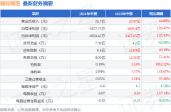 线上配资机构有哪些 铜冠铜箔（301217）2025年中报简析：营收净利润同比双双增长，盈利能力上升