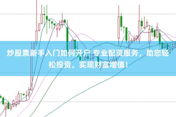 炒股票新手入门如何开户 专业配资服务，助您轻松投资，实现财富增值！