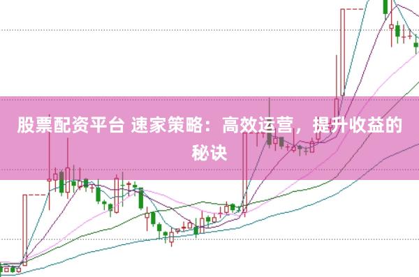 股票配资平台 速家策略：高效运营，提升收益的秘诀