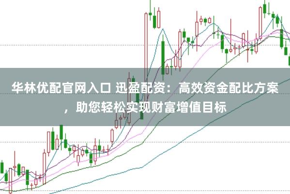 华林优配官网入口 迅盈配资：高效资金配比方案，助您轻松实现财富增值目标